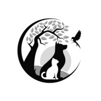 registro veterinario